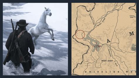 How to find the White Arabian Horse in Red Dead Redemption 2?