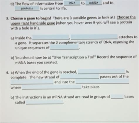 Solved: The flow of information from _DNA___ to ___mRNA__ and to ...