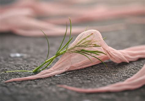 Retail Environment → Area → Resource 9