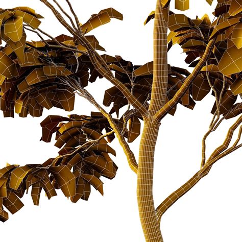 Chinese ash Tree Fraxinus chinensis 03 3D model Maxve