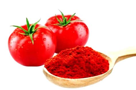 Tomato Powder - Color: Red at 250.00 INR in Indore, Madhya Pradesh ...