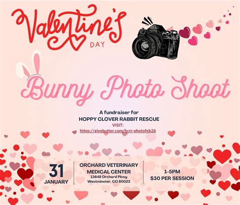 Valentines Day Bunny Photo Shoot, Orchard Veterinary Medical Center Inc ...
