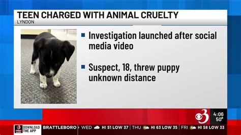 Victim identified in NH suspicious death investigation