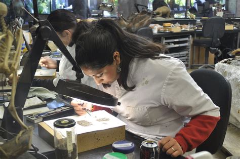 12 Must-Watch Dinosaur Films That Go Beyond Jurassic Park – Dino World