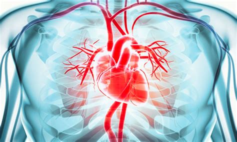 Digoxin may Reduce Mortality and Heart Failure Risk in Symptomatic ...