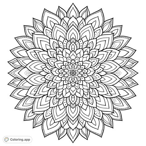 Intricate Floral Mandala Design - Coloring.app