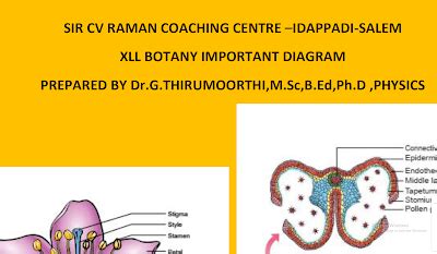 12th Botany Important Diagram English Medium 2024 - 25 | Kalvi Kadal ...