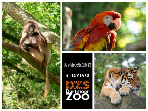 Buy Rangers (6 - 12 Years) Tickets online - Dartmoor Zoo