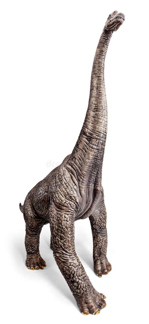 Brachiosaurus Death Stock Photos - Free & Royalty-Free Stock Photos ...