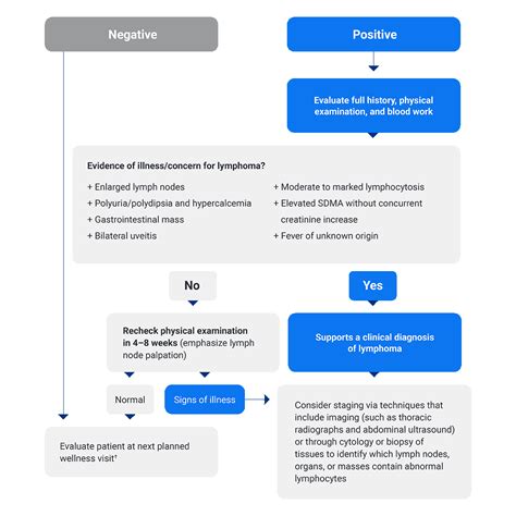 Idexx Cancer Test Latest File Updates #953