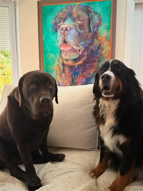 Las paredes son protagonistas en el salón de Lara Álvarez: con una gran ...