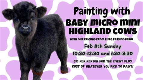 *Soldout* Painting with BABY Mini Highland Cows, 1631 N Main St Ext ...