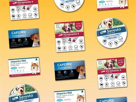 Best flea and tick treatments for dogs