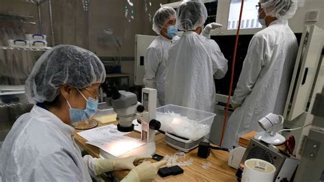 AAOI stock on track to open at over 8-year highs: B Riley upgrade ...