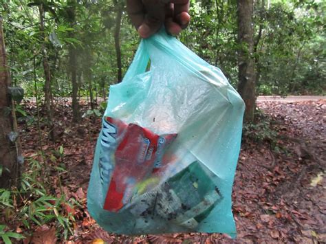 Polythene use banned across Pahalgam hill station