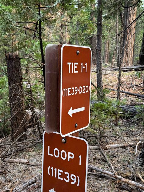 BLM 195, California - GPS Trail Map, Conditions & Difficulty | onX Offroad