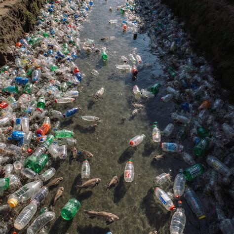 a polluted river runs through the damaged landscape Prompts | Stable ...