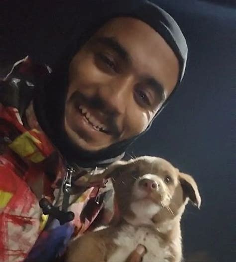 When humanity comes first: Online delivery executive saves puppy on ...