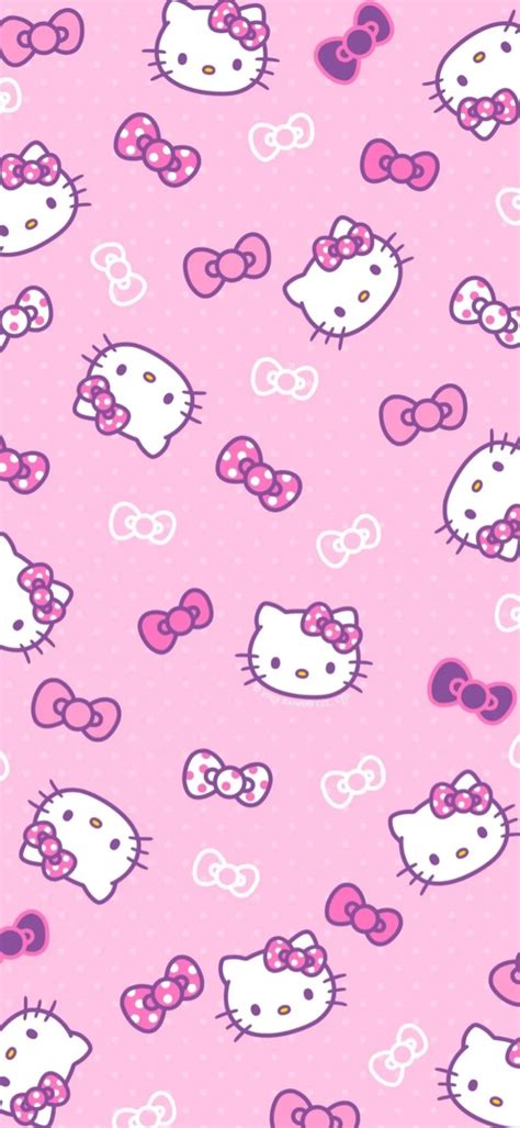 Beg4ass1 / Leak Onlyfans exclusif