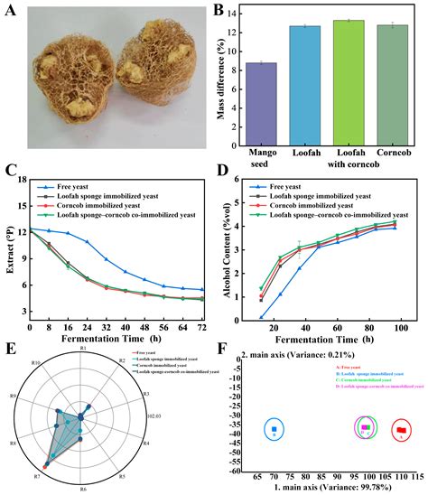 Development of a Natural Carrier for Yeast Immobilization: Enhancing Fermentation Performance ...