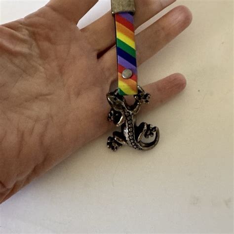 Rainbow Lizard Gecko Silver Charm Pendant Keychain Key Chain Ring Gift ...
