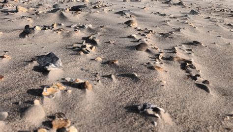 HENGISTBURY HEAD BEACH (2026) All You Need to Know BEFORE You Go (with ...