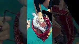 I wonder if I can sell the boat or it's too broken