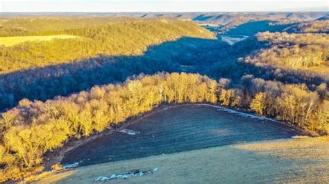 Homes For Sale Under $1.40M in Cochrane, WI | Realtor.com®