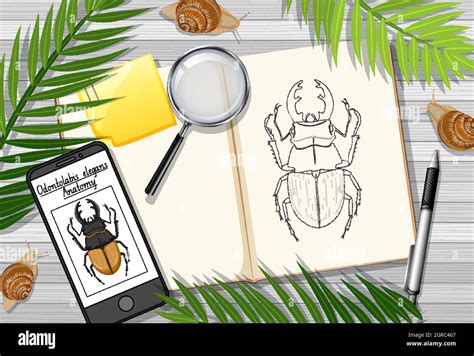 Top 15 MBA Programs 的图像结果