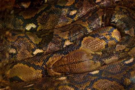 5,757 Ind Flickr Stock Photos - Free & Royalty-Free Stock Photos from ...