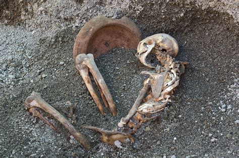 Pompeii Victim Died Trying To Shield Himself From The Disastrous Eruption Of Vesuvius – AI ...