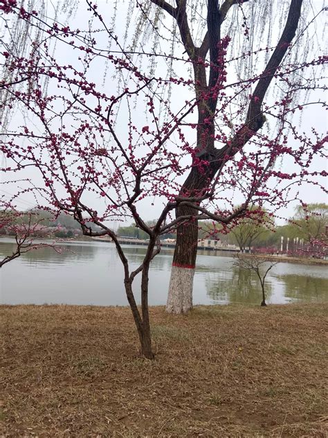 路漫漫…人在旅途的抖音 - 抖音