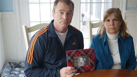 Dog seizure case to test powers of animal control agency