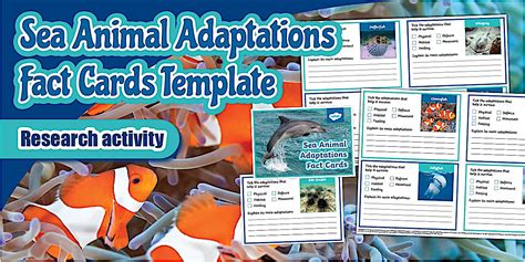 * NEW * Sea Animal Adaptations Fact Cards Template