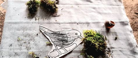 Stage Traces et Empreintes 🐾, CRIE de Modave, Marchin, 23 February to ...