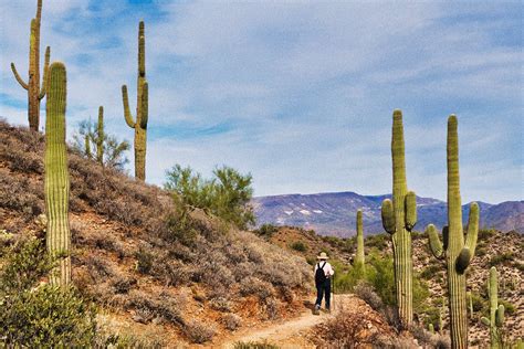 THE 10 BEST Phoenix Hotels with a View 2026 (with Prices)