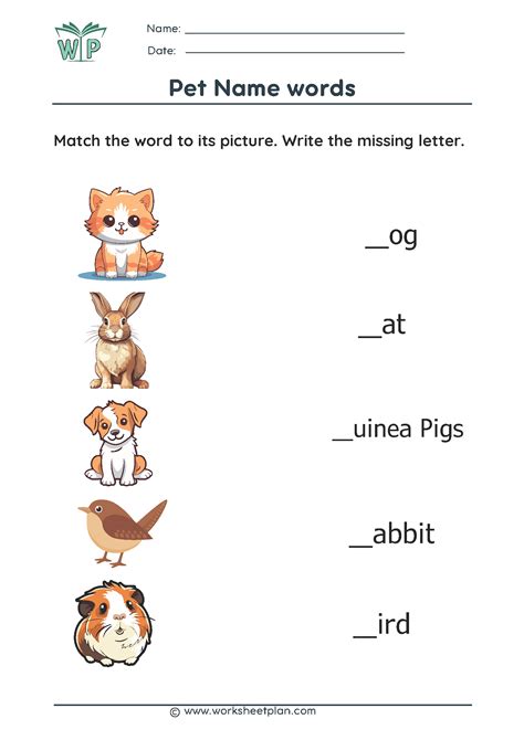Missing pet Letters » Worksheet Plan