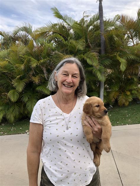 American Kennel Club