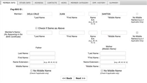 Pag-IBIG Online Registration 2025: Complete Guide for New Members and ...