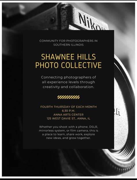 Shawnee Hills Photo Collective, 125 W Davie St, Anna, IL, 26 February ...