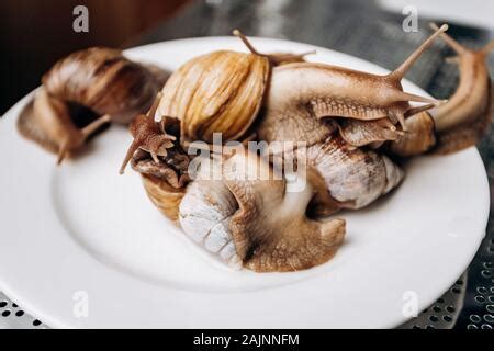 Image result for How to Cook Puffed Quinoa