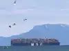 dubai dp world india: Latest News & Videos, Photos about dubai dp world ...