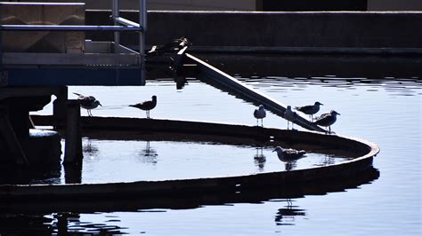 Brevard spills 3 million gallons of reuse water into Indian River Lagoon