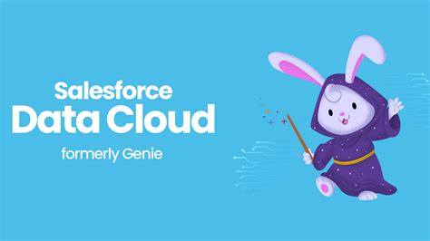 Implementasi Salesforce Data Cloud: Peran Kunci dan Keahlian Penting