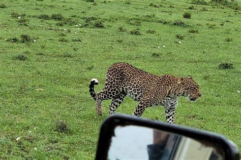 MYKIS SAFARIS – KENYA SAFARI TOURS (2026) All You Need to Know BEFORE ...