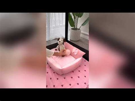 Promos exclusives Temu - YouTube