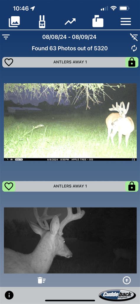 Cuddeback - Cuddeback