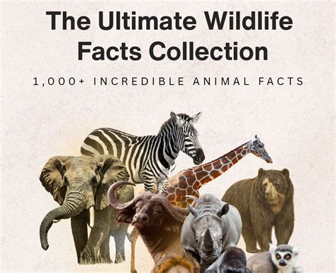 Wildlife Facts Collection | 1,000+ Animal Fact Sheets PDF