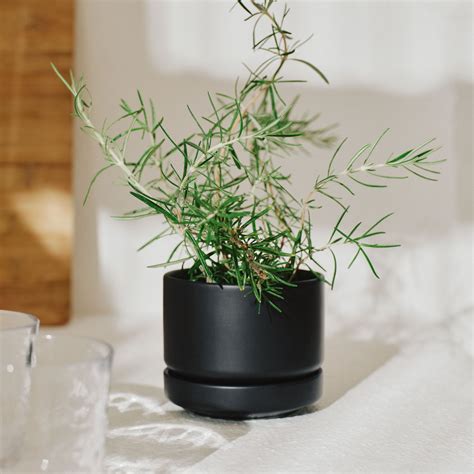 Arabia plant pot SN, 11 cm, matt black | Finnish Design Shop