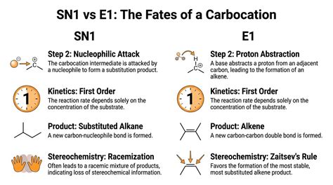 SN1 vs E1: Master Organic Chemistry Reactions | Ask Maeve Blog